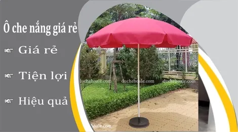Sản phẩm o che nang gia re 3138 — Dù Che Hoa Lê - Công Ty TNHH Sản Xuất Hoa Lê — MST 0312375318