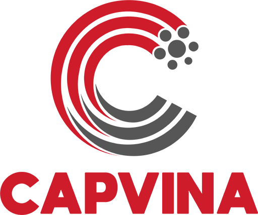 Logo Công Ty TNHH Dây Cáp Thép Việt Nam