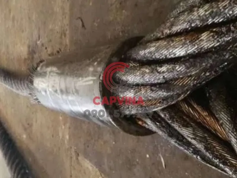 Sản phẩm bam chi cap thep 120mm capthep — Công Ty TNHH Dây Cáp Thép Việt Nam — MST 0312378894