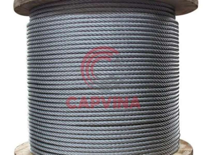 Sản phẩm cap giang d10 — Công Ty TNHH Dây Cáp Thép Việt Nam — MST 0312378894