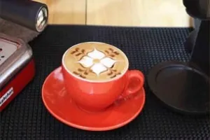 Sản phẩm may pha cafe espresso kahchan link_1553308150_300x200 — Công Ty TNHH KAHCHAN — MST 0312387810