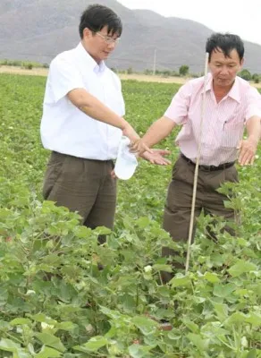 Sản phẩm cavoxa.com_1386916416 — Khoáng Sản Trường Hải - Công Ty CP TM Tư Vấn Bất Động Sản Trường Hải — MST 0312399622