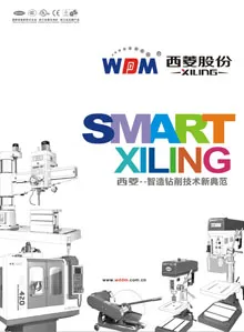 Sản phẩm catalog WDDM — Công Ty TNHH MTV Đầu Tư Phát Triển Nhà Thông Minh Việt Nam — MST 0312403290