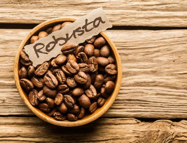 Sản phẩm ca phe robusta 650x500 — Công Ty TNHH Sản Xuất Thương Mại Xuất Nhập Khẩu Cà Phê Mộc — MST 0312414831