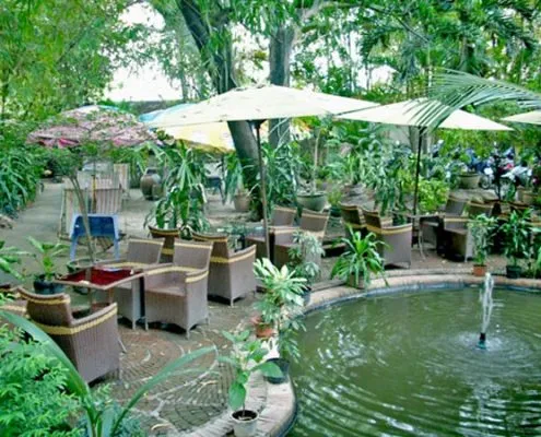 Sản phẩm Hòa mình với thiên nhiên Thiết kế quán cà phê sân vườn 495x400 — Công Ty TNHH Sản Xuất Thương Mại Xuất Nhập Khẩu Cà Phê Mộc — MST 0312414831