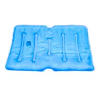 Sản phẩm tui gel giu am — Đá Khô CoolMagic - Công Ty CP SX TM Tuyết Phương Nam — MST 0312416483
