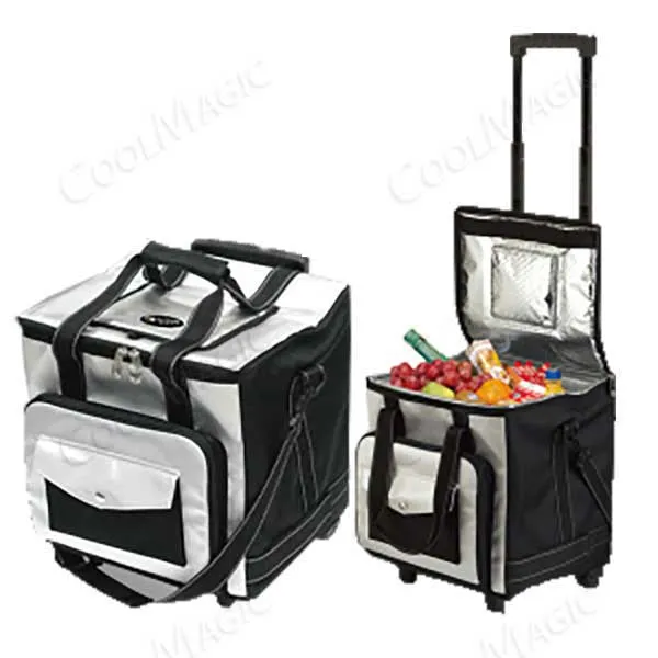 Sản phẩm tui giu nhiet phan phoi ban le hang lanh — Đá Khô CoolMagic - Công Ty CP SX TM Tuyết Phương Nam — MST 0312416483