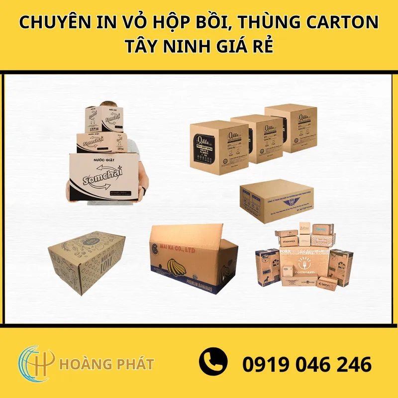 Sản phẩm Chuyen in vo hop boi bao bi thung carton Tay Ninh gia re — Bao Bì Hoàng Phát - Công Ty TNHH Sản Xuất Thương Mại Bao Bì Hoàng Phát — MST 0312425350