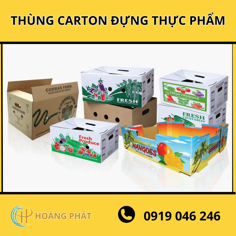 Sản phẩm thung carton dung thuc pham co lo thong hoi — Bao Bì Hoàng Phát - Công Ty TNHH Sản Xuất Thương Mại Bao Bì Hoàng Phát — MST 0312425350