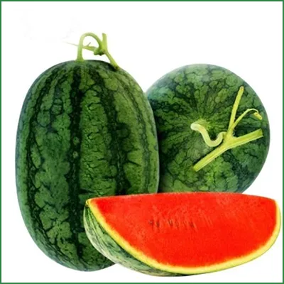 Sản phẩm vege 2 — Nông Sản DAGRIFOOD - Công Ty TNHH HDAGRIFOOD — MST 0312426428