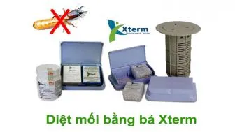 Sản phẩm cach diet moi tan goc bang ba xterm cong nghe cua nhat ban — Diệt Mối Trần Anh - Công Ty Cổ Phần Đầu Tư Trần Anh — MST 0312427534