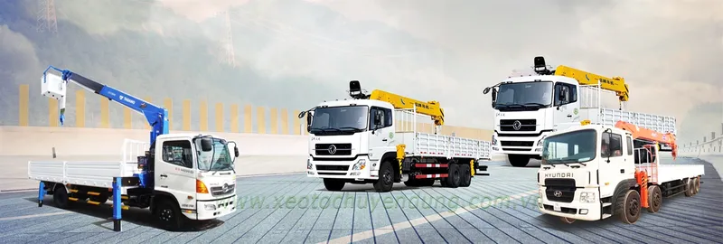 Sản phẩm xe gan cau — Công Ty TNHH Thương Mại Tân á Hoàn Mỹ — MST 0312433584