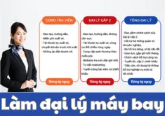 Sản phẩm lamDaiLyVeMayBayCap2(2)_700555 — Công Ty TNHH Thế Giới Vé Rẻ — MST 0312462271