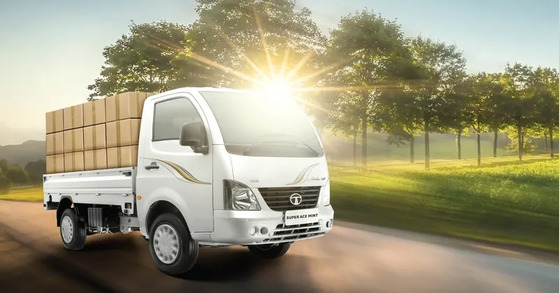 Sản phẩm 14 — Công Ty TNHH Sản Xuất Thương Mại Xuất Nhập Khẩu Đông Tây — MST 0312464374