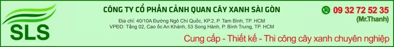 Sản phẩm 116 — Công Ty Cổ Phần Cảnh Quan Cây Xanh Sài Gòn — MST 0312471124