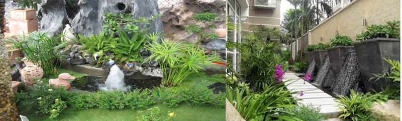 Sản phẩm 3642878536421170 — Công Ty Cổ Phần Cảnh Quan Cây Xanh Sài Gòn — MST 0312471124