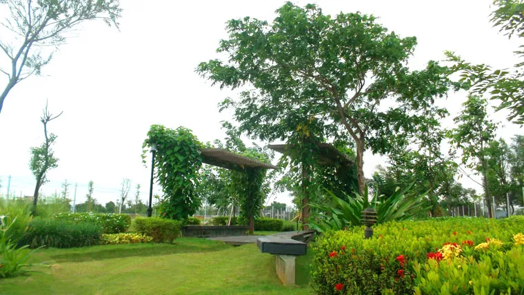 Sản phẩm 3941485804894830 — Công Ty Cổ Phần Cảnh Quan Cây Xanh Sài Gòn — MST 0312471124
