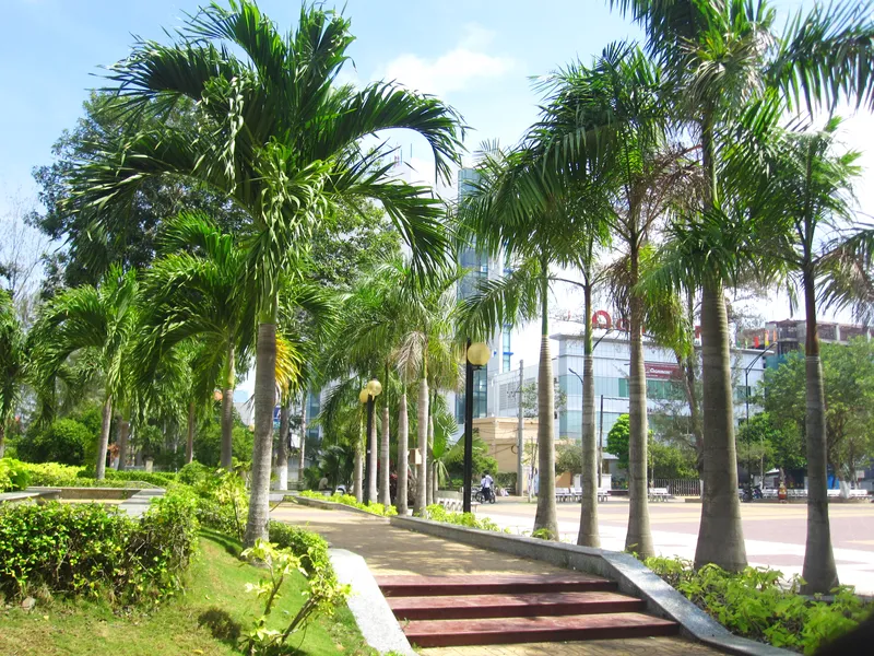 Sản phẩm 5459084042908460 — Công Ty Cổ Phần Cảnh Quan Cây Xanh Sài Gòn — MST 0312471124