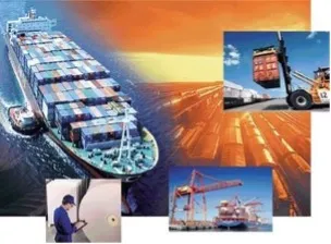 Sản phẩm hang hoa 1 — Giám Định Thẩm Định Vimexcontrol - Công Ty TNHH Giám Định Thẩm Định Vimexcontrol — MST 0312473379