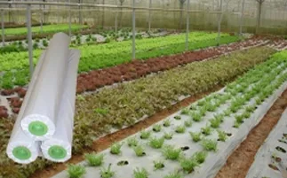 Sản phẩm mangphu — Bao Bì Mạnh Phát Đạt - Công Ty TNHH Sản Xuất Thương Mại Dịch Vụ Mạnh Phát Đạt — MST 0312476299