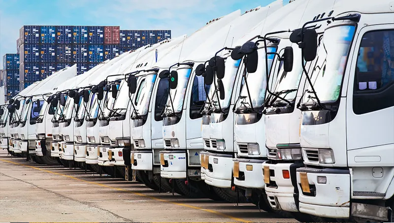 Sản phẩm 8 1 — Công Ty TNHH Tiếp Vận Logiworld Việt Nam — MST 0312483105