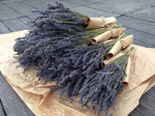 Sản phẩm hoa kho lavender — Hương Liệu Pháp HLP - Công Ty TNHH Hương Liệu Pháp HLP — MST 0312491924