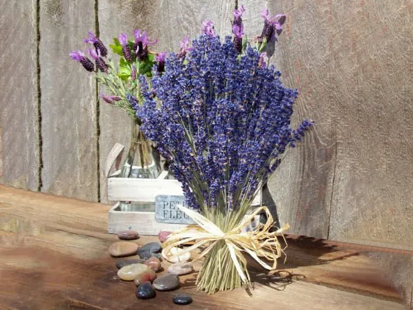 Sản phẩm hoa kho lavender2 — Hương Liệu Pháp HLP - Công Ty TNHH Hương Liệu Pháp HLP — MST 0312491924