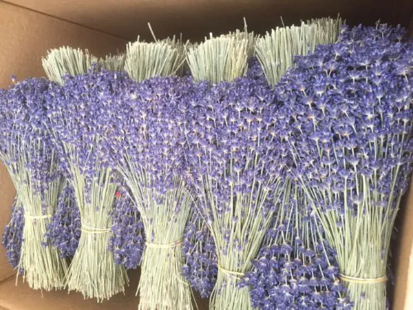 Sản phẩm hoa kho lavender3 — Hương Liệu Pháp HLP - Công Ty TNHH Hương Liệu Pháp HLP — MST 0312491924