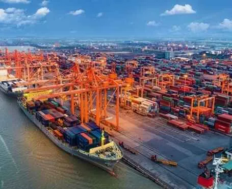 Sản phẩm cai mep thi vai sea port 8863111zon 6433 — Công Ty TNHH Xuất Nhập Khẩu Vadisa — MST 0312500897