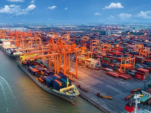 Sản phẩm cai20mep20thi20vai20sea20port — Công Ty TNHH Xuất Nhập Khẩu Vadisa — MST 0312500897