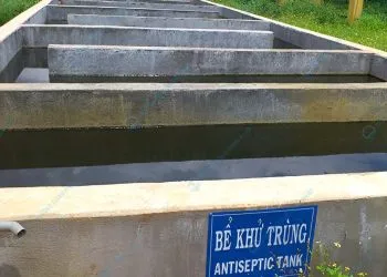 Sản phẩm Be khu trung trong xu ly nuoc thai 350x250 — Công Ty TNHH Môi Trường Thương Mại Xuất Nhập Khẩu Toàn Phát — MST 0312509931