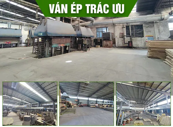 Sản phẩm GT — Ván ép Trác Ưu - Công Ty TNHH Trác Ưu — MST 0312514191