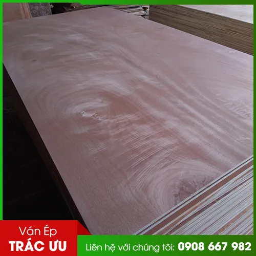 Sản phẩm birch (2) — Ván ép Trác Ưu - Công Ty TNHH Trác Ưu — MST 0312514191