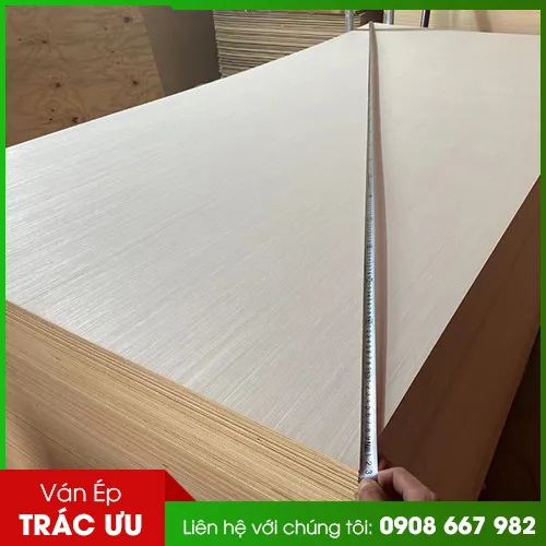 Sản phẩm birch — Ván ép Trác Ưu - Công Ty TNHH Trác Ưu — MST 0312514191