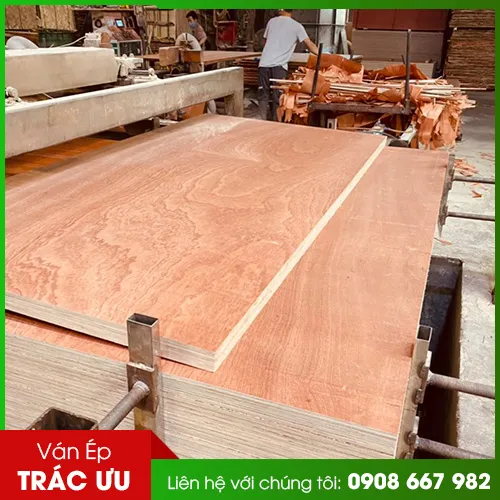 Sản phẩm van ep bitago (2) — Ván ép Trác Ưu - Công Ty TNHH Trác Ưu — MST 0312514191