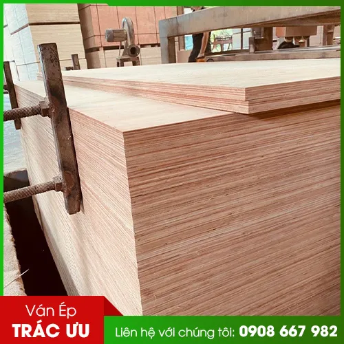 Sản phẩm van ep bitago — Ván ép Trác Ưu - Công Ty TNHH Trác Ưu — MST 0312514191