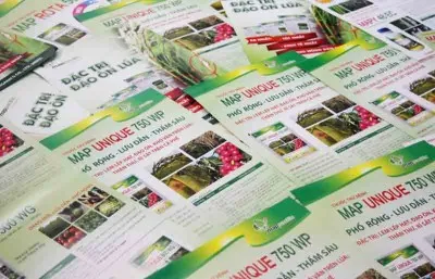 Sản phẩm 72 in to roi to gap — Thiết Kế In Ấn Minh Việt - Công Ty TNHH Thiết Kế In Ấn Minh Việt — MST 0312525147