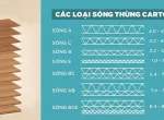 Sản phẩm 4273046011141313952 1776832766.jpg — Công Ty TNHH Sản Xuất Thương Mại Tín Phát Thịnh — MST 0312529568
