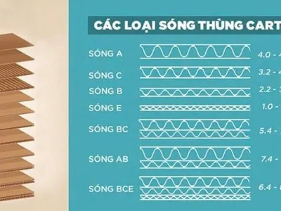 Sản phẩm 4273046011141313952 1776832766.jpg — Công Ty TNHH Sản Xuất Thương Mại Tín Phát Thịnh — MST 0312529568