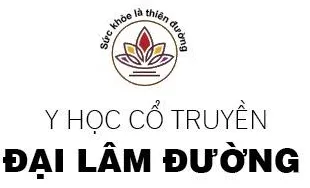 Logo Công ty TNHH XLK Sông Đà
