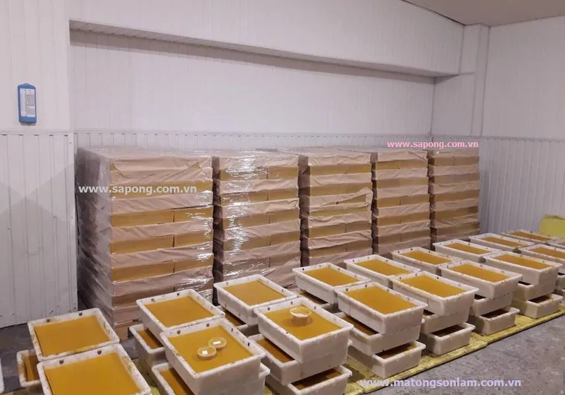 Sản phẩm sap ong son lam — Công ty TNHH XLK Sông Đà — MST 0312532578