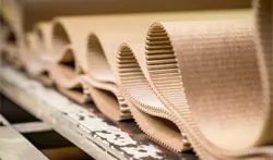 Sản phẩm corrugated paper industry — Nồi Hơi Đầu Đốt Zuhow - Công Ty TNHH TM Zuhow — MST 0312536893