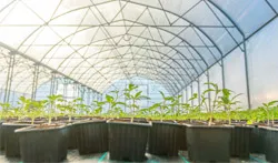 Sản phẩm greenhouse — Nồi Hơi Đầu Đốt Zuhow - Công Ty TNHH TM Zuhow — MST 0312536893