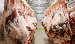 Sản phẩm slaughter industry — Nồi Hơi Đầu Đốt Zuhow - Công Ty TNHH TM Zuhow — MST 0312536893