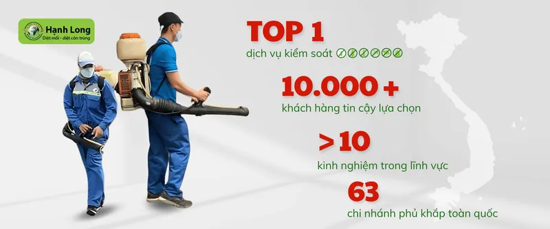 Văn phòng Công Ty TNHH Một Thành Viên Dịch Vụ Hạnh Long #? — MST 0312539301