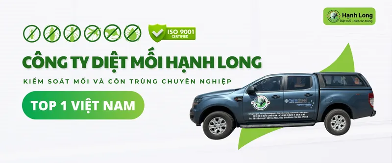 Văn phòng Công Ty TNHH Một Thành Viên Dịch Vụ Hạnh Long #? — MST 0312539301