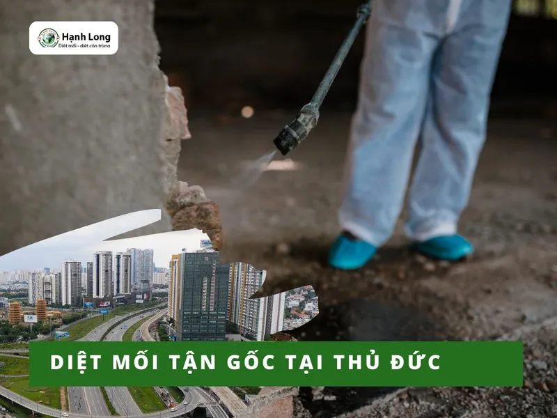 Sản phẩm 0p5vdgy6zqodd9gg1vw8ws87ggaj_diet moi tai thu duc — Công Ty TNHH Một Thành Viên Dịch Vụ Hạnh Long — MST 0312539301