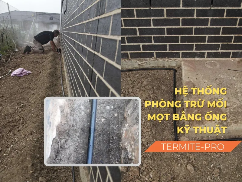 Sản phẩm 4207ia8lgmtayqfwkv3sxdbu6r0e_phong tru moi mot bang ong ky thuat termite pro — Công Ty TNHH Một Thành Viên Dịch Vụ Hạnh Long — MST 0312539301