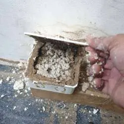 Sản phẩm 42dehd418lauo0geh7hqkpebqjx5_diet moi tan goc_(1) — Công Ty TNHH Một Thành Viên Dịch Vụ Hạnh Long — MST 0312539301