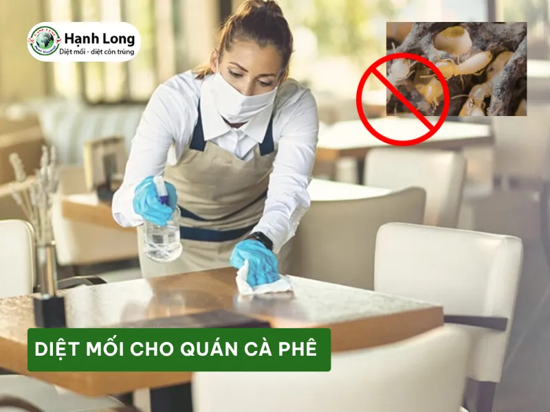 Sản phẩm dnchtvzj6pmke41bxmr0inv8x1la_diet moi cho quan ca phe — Công Ty TNHH Một Thành Viên Dịch Vụ Hạnh Long — MST 0312539301